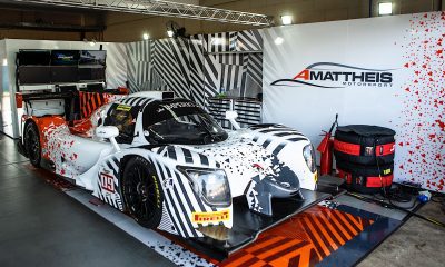Ligier (Bruno Terena)