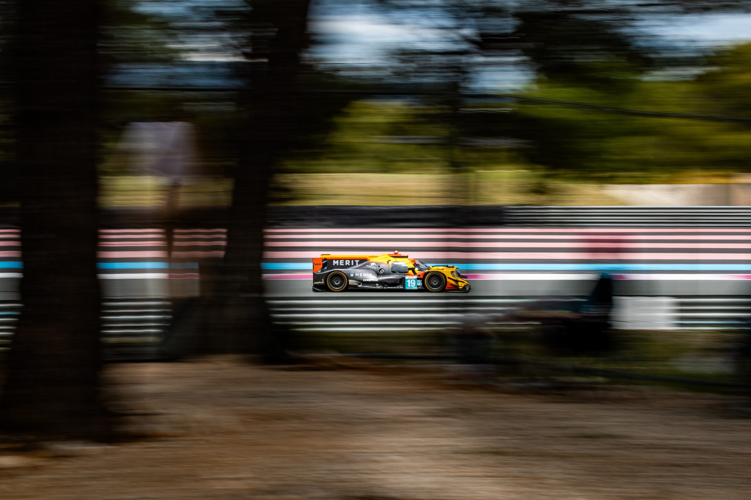 ELMS