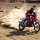 Rallye du Maroc / DPPI