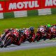 GP Motul marca retorno do MOTO1000GP ao Autódromo de Interlagos (MOTO1000GP/Grelak Comunicação)