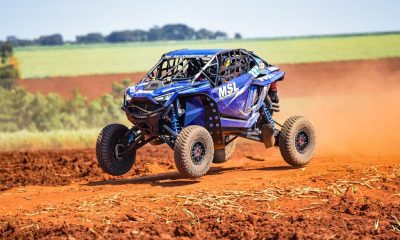 #317 Gunter Hinkelmann (PhotoAction)