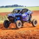 #317 Gunter Hinkelmann (PhotoAction)