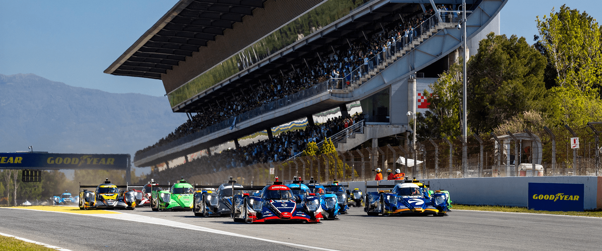 ELMS