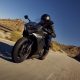 Daytona 660 Cup é uma categoria em parceria com a Triumph Motorcycles Brasil (Divulgação Triumph)