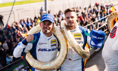 Falken