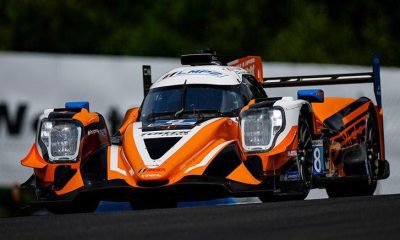 van der Zande