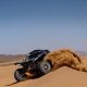 Rallye du Maroc se aproxima como grande encerramento da temporada W2RC 2025