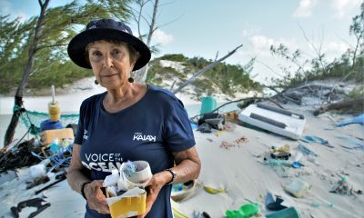 Voz dos Oceanos
