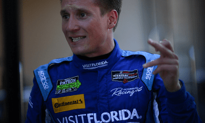 Van der Zande