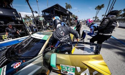 Wickens